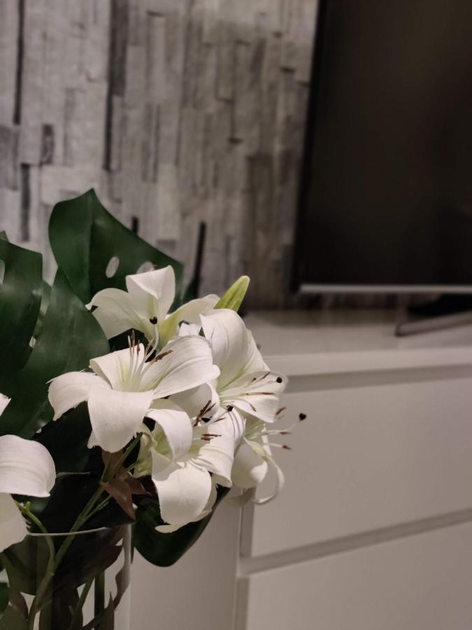 Arena Apartment - Own Sauna, In The Heart Of Tampere Near To Nokia Arena Eksteriør billede